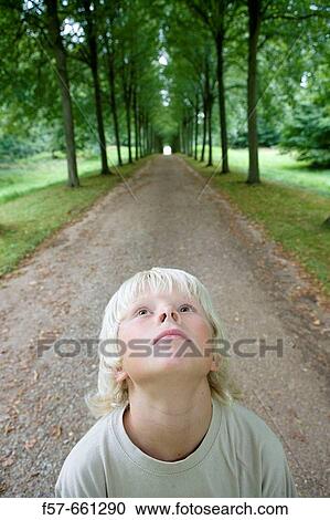 Nature View Large Photo Image Stock Image - Nature. Fotosearch