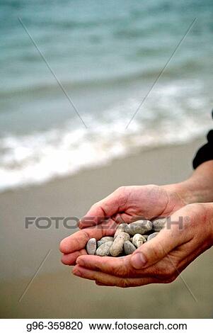 Nature View Large Photo Image Stock Image - Nature. Fotosearch