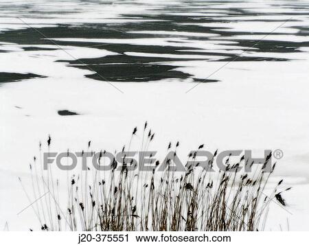 Stock Image - Nature. Fotosearch
