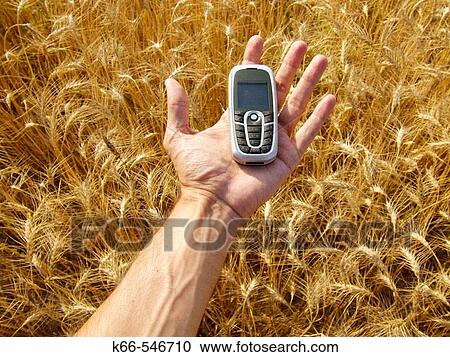 Nature View Large Photo Image Stock Image - Nature. Fotosearch