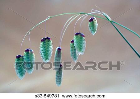 Nature View Large Photo Image Stock Image - Nature. Fotosearch