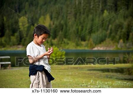 Nature View Large Photo Image Stock Image - Nature. Fotosearch