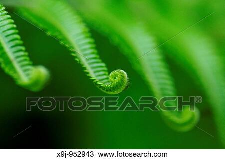 Nature View Large Photo Image Stock Image - Nature. Fotosearch