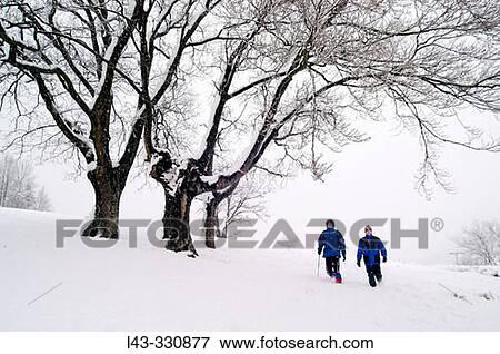 Nature View Large Photo Image Stock Photo - Nature. Fotosearch