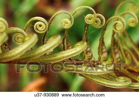 Nature View Large Photo Image Stock Photo - Nature. Fotosearch