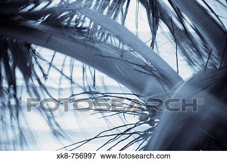 Nature View Large Photo Image Stock Photo - Nature. Fotosearch