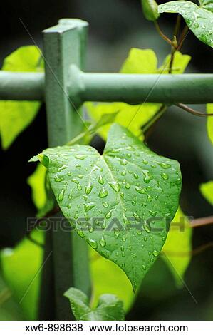 Nature View Large Photo Image Stock Photo - Nature. Fotosearch