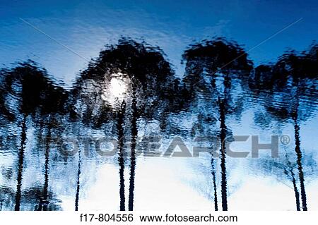Nature View Large Photo Image Stock Photograph - Nature. Fotosearch