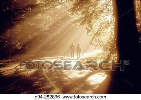 Nature View Large Photo Image Stock Photograph - Nature. Fotosearch
