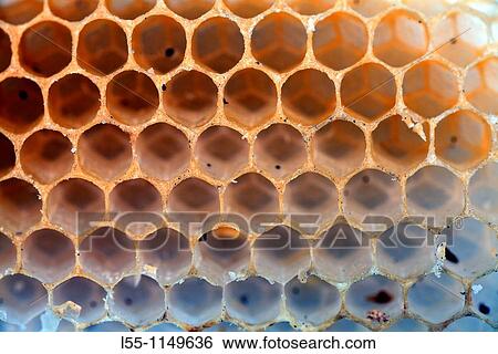 Nature View Large Photo Image Stock Photograph - Nature. Fotosearch