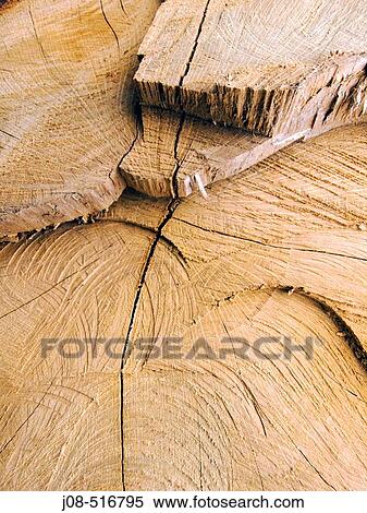 Nature View Large Photo Image Stock Photography - Nature. Fotosearch