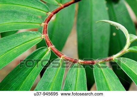 Nature View Large Photo Image Stock Photography - Nature. Fotosearch