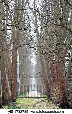 Nature View Large Photo Image Stock Photography - Nature. Fotosearch