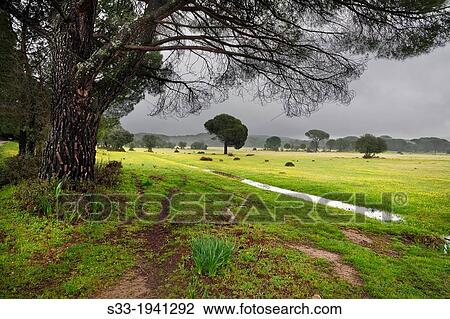 Navalagrulla prairie on La adrada. Avila. Castilla Leon. Spain. View Large Photo Image Stock Image - Navalagrulla prairie on La adrada. Avila. Castilla Leon. Spain.. Fotosearch