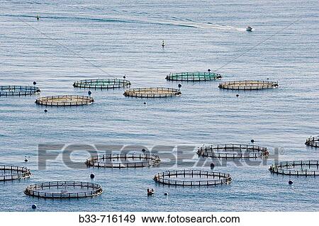 Stock Photo - Near Salobrea Costa Tropical Granada Province Spain Aquaculture Fish farm. Fotosearch