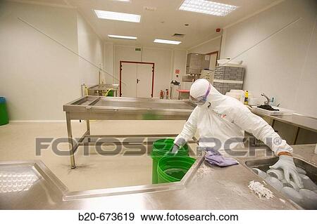 Necropsy room, Laboratory of Bio-Safety Level P3, Departamento de Producci? n y Sanidad Animal, Neiker Tecnalia, Instituto de Investigaci? n y Desarrollo Agrario, Ganadero, Forestal y del Medio Natural, Euskadi, Spain View Large Photo Image Stock Photo - Necropsy room, Laboratory of Bio-Safety Level P3, Departamento de Producci? n y Sanidad Animal, Neiker Tecnalia, Instituto de Investigaci? n y Desarrollo Agrario, Ganadero, Forestal y del Medio Natural, Euskadi, Spain. Fotosearch