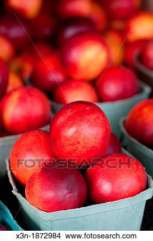 Nectarines View Large Photo Image Picture - Nectarines. Fotosearch