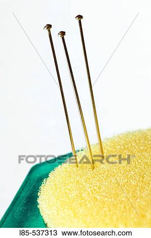 Needles. View Large Photo Image Stock Image - Needles.. Fotosearch