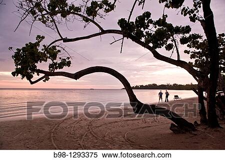Negrill Beach, Jamaica, West Indies Rui Resort View Large Photo Image Stock Photography - Negrill Beach, Jamaica, West Indies Rui Resort. Fotosearch