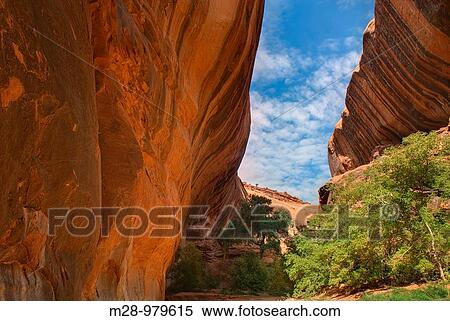 Neon Canyon, Grand Staircase Escalante National Monument Utah View Large Photo Image Stock Photography - Neon Canyon, Grand Staircase Escalante National Monument Utah. Fotosearch
