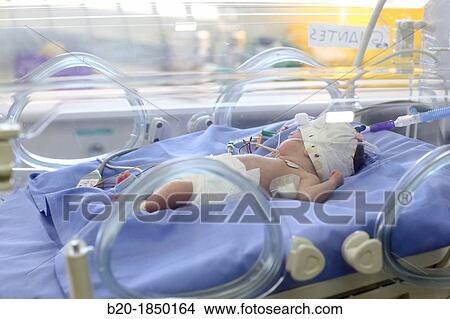 Neonate, Neonate Intensive care Unit, Donostia Hospital, San Sebastian, Donostia, Gipuzkoa, Basque Country, Spain View Large Photo Image Picture - Neonate, Neonate Intensive care Unit, Donostia Hospital, San Sebastian, Donostia, Gipuzkoa, Basque Country, Spain. Fotosearch