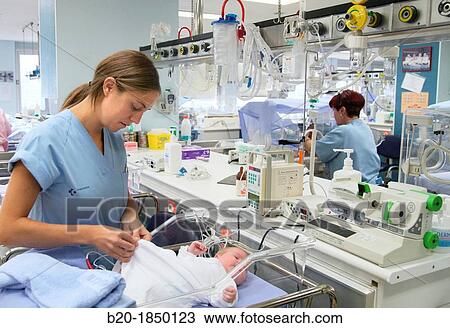 Neonate, Neonate Intensive care Unit, Donostia Hospital, San Sebastian, Donostia, Gipuzkoa, Basque Country, Spain View Large Photo Image Stock Image - Neonate, Neonate Intensive care Unit, Donostia Hospital, San Sebastian, Donostia, Gipuzkoa, Basque Country, Spain. Fotosearch