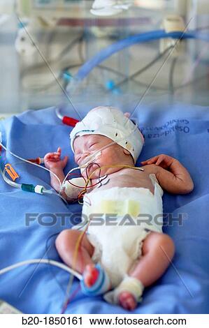 Neonate, Neonate Intensive care Unit, Donostia Hospital, San Sebastian, Donostia, Gipuzkoa, Basque Country, Spain View Large Photo Image Stock Image - Neonate, Neonate Intensive care Unit, Donostia Hospital, San Sebastian, Donostia, Gipuzkoa, Basque Country, Spain. Fotosearch