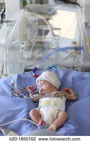 Neonate, Neonate Intensive care Unit, Donostia Hospital, San Sebastian, Donostia, Gipuzkoa, Basque Country, Spain View Large Photo Image Stock Image - Neonate, Neonate Intensive care Unit, Donostia Hospital, San Sebastian, Donostia, Gipuzkoa, Basque Country, Spain. Fotosearch