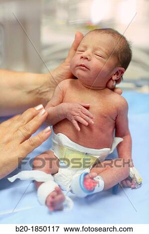 Neonate, Neonate Intensive care Unit, Donostia Hospital, San Sebastian, Donostia, Gipuzkoa, Basque Country, Spain View Large Photo Image Stock Photo - Neonate, Neonate Intensive care Unit, Donostia Hospital, San Sebastian, Donostia, Gipuzkoa, Basque Country, Spain. Fotosearch