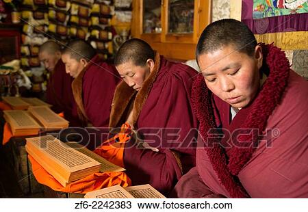 Nepal Himalayas Buddhist nuns reading praying at the Kharigandentenphelling Monastery in the village of Thamo Solukhumbu Mt Everest remote religion Buddhst nunery Buddhism 85 86 87 88 89 90. View Large Photo Image Stock Image - Nepal Himalayas Buddhist nuns reading praying at the Kharigandentenphelling Monastery in the village of Thamo Solukhumbu Mt Everest remote religion Buddhst nunery Buddhism 85 86 87 88 89 90.. Fotosearch