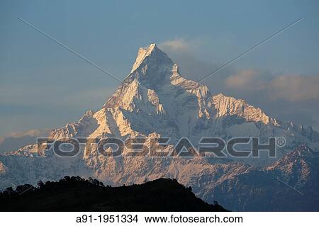 Nepal, Pokhara area, Pouderkot Village located on the Annapurna ancient way leading to Tibet and Mustang and offering beyond ricefields terraces stunning view on the Annapurna snowy Mountains, the fishtail annapurna peak" View Large Photo Image Picture - Nepal, Pokhara area, Pouderkot Village located on the Annapurna ancient way leading to Tibet and Mustang and offering beyond ricefields terraces stunning view on the Annapurna snowy Mountains, the fishtail annapurna peak". Fotosearch