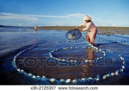 net fishing of alvines, Sumba island, Lesser Sunda Islands, Republic of Indonesia, Southeast Asia and Oceania. View Large Photo Image Stock Photo - net fishing of alvines, Sumba island, Lesser Sunda Islands, Republic of Indonesia, Southeast Asia and Oceania.. Fotosearch