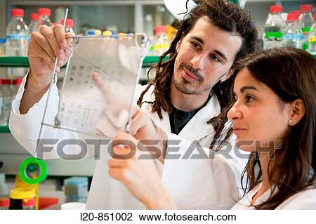 Neuropharmacology, IIBB - Institute for Biomedical Research of Barcelona, CSIC - Consejo Superior de Investigacion Cientifica (Spanish National Research Council), Barcelona, Catalonia, Spain View Large Photo Image Stock Image - Neuropharmacology, IIBB - Institute for Biomedical Research of Barcelona, CSIC - Consejo Superior de Investigacion Cientifica (Spanish National Research Council), Barcelona, Catalonia, Spain. Fotosearch
