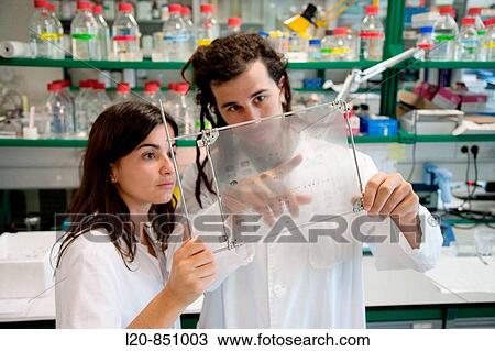 Neuropharmacology, IIBB - Institute for Biomedical Research of Barcelona, CSIC - Consejo Superior de Investigacion Cientifica (Spanish National Research Council), Barcelona, Catalonia, Spain View Large Photo Image Stock Image - Neuropharmacology, IIBB - Institute for Biomedical Research of Barcelona, CSIC - Consejo Superior de Investigacion Cientifica (Spanish National Research Council), Barcelona, Catalonia, Spain. Fotosearch