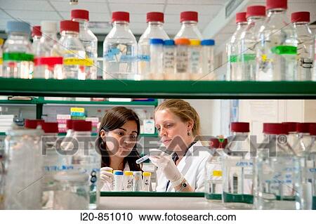 Neuropharmacology, IIBB - Institute for Biomedical Research of Barcelona, CSIC - Consejo Superior de Investigacion Cientifica (Spanish National Research Council), Barcelona, Catalonia, Spain View Large Photo Image Stock Image - Neuropharmacology, IIBB - Institute for Biomedical Research of Barcelona, CSIC - Consejo Superior de Investigacion Cientifica (Spanish National Research Council), Barcelona, Catalonia, Spain. Fotosearch
