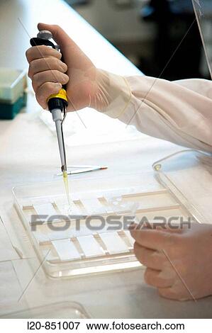 Stock Photo - Neuropharmacology, IIBB - Institute for Biomedical Research of Barcelona, CSIC - Consejo Superior de Investigacion Cientifica (Spanish National Research Council), Barcelona, Catalonia, Spain. Fotosearch