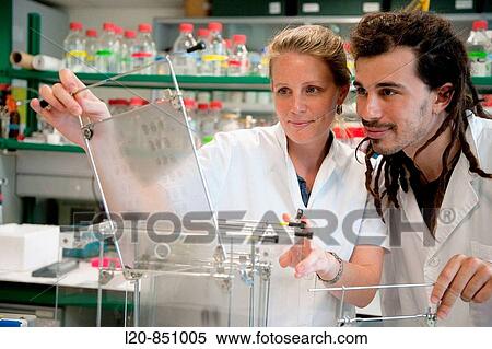 Neuropharmacology, IIBB - Institute for Biomedical Research of Barcelona, CSIC - Consejo Superior de Investigacion Cientifica (Spanish National Research Council), Barcelona, Catalonia, Spain View Large Photo Image Stock Photography - Neuropharmacology, IIBB - Institute for Biomedical Research of Barcelona, CSIC - Consejo Superior de Investigacion Cientifica (Spanish National Research Council), Barcelona, Catalonia, Spain. Fotosearch