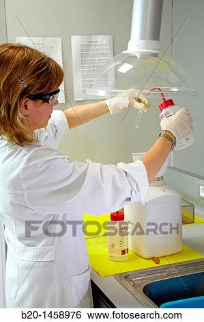 Neutralization of aqueous solution, IkerChem research lab, design and synthesis of new chemical entities with therapeutic applications in oncology, discovery and development of novel drugs for the treatment of cancer View Large Photo Image Stock Photograph - Neutralization of aqueous solution, IkerChem research lab, design and synthesis of new chemical entities with therapeutic applications in oncology, discovery and development of novel drugs for the treatment of cancer. Fotosearch