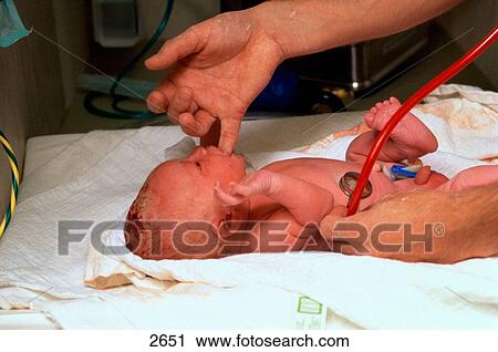 New born healthcare View Large Photo Image Stock Image - New born healthcare. Fotosearch
