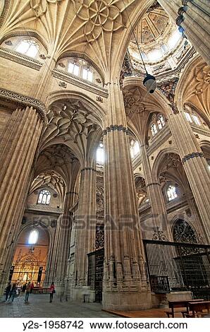 New Cathedral - interior, 16th century, Salamanca, Region of Castilla y Leon, Spain, Europe. View Large Photo Image Stock Image - New Cathedral - interior, 16th century, Salamanca, Region of Castilla y Leon, Spain, Europe.. Fotosearch