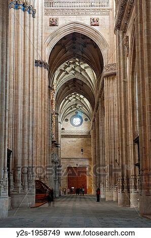 New Cathedral - interior, 16th century, Salamanca, Region of Castilla y Leon, Spain, Europe. View Large Photo Image Stock Photo - New Cathedral - interior, 16th century, Salamanca, Region of Castilla y Leon, Spain, Europe.. Fotosearch