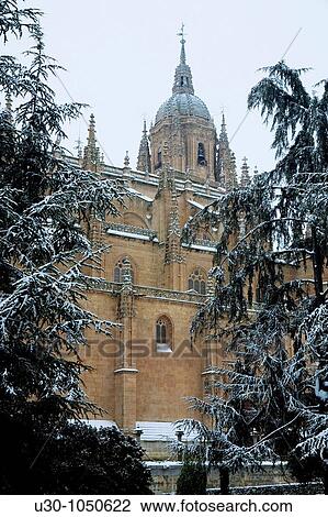 Stock Image - New Cathedral of Salamanca city, and Anaya Square in winter World Heritage City in Castilla y Le? n, Spain. Fotosearch
