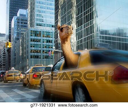 Stock Image - New York City, USA. Fotosearch