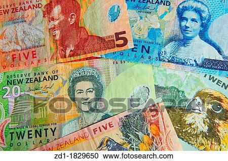 New Zealand Money Nz Dollar Bills Stock Image Zd1 Fotosearch