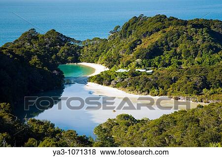 Stock Photo - New Zealand, Nelson, Abel Tasman National Park Frenchman's Bay / cove, a tidal lagoon viewed from above on a viewpoint along the Coastal Track. Fotosearch