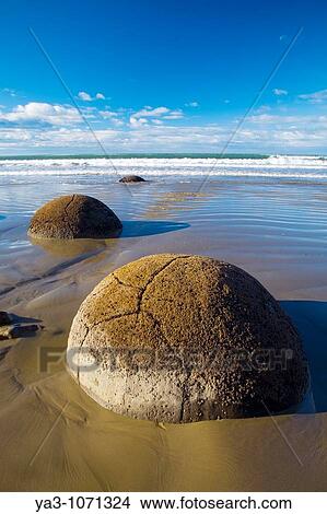 New Zealand, Otago, Moeraki Boulders The famous spherical Moeraki boulders on the North Otago coast View Large Photo Image Picture - New Zealand, Otago, Moeraki Boulders The famous spherical Moeraki boulders on the North Otago coast. Fotosearch