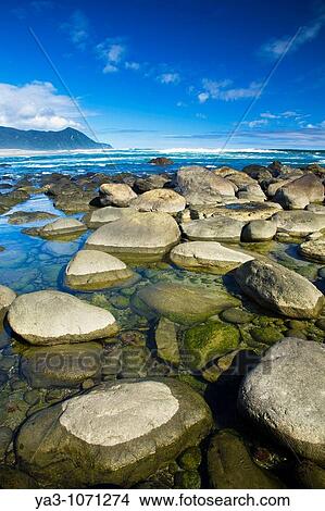 Picture - New Zealand, Southland, Fiordland National Park The coastline of Martins Bay, at the end of the Hollyford Track. Fotosearch