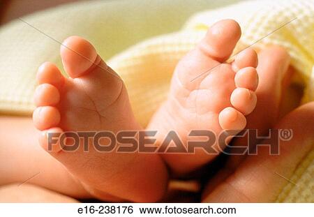 newborn feet View Large Photo Image Stock Photograph - newborn feet. Fotosearch