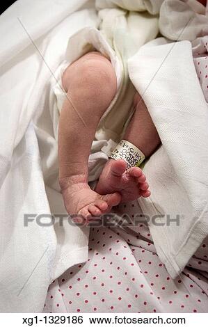 Newborn feet View Large Photo Image Stock Photograph - Newborn feet. Fotosearch