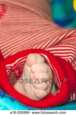 newborn foot View Large Photo Image Picture - newborn foot. Fotosearch